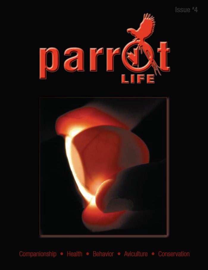 Parrot Life Magazine Issue 4
