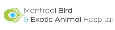 montreal bird and exotic animal hospital
