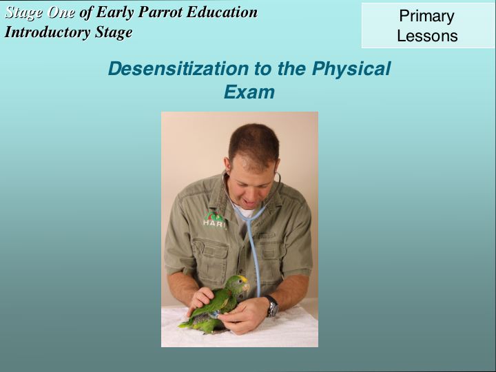 Desensitization to the physical exam