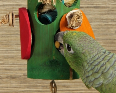 Trpoican High Performance formula for young, weaning and fledgling Parrots.