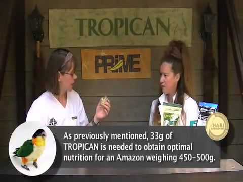 Quelle quantité d’aliment Tropican votre perroquet de compagnie devrait-il consommer?