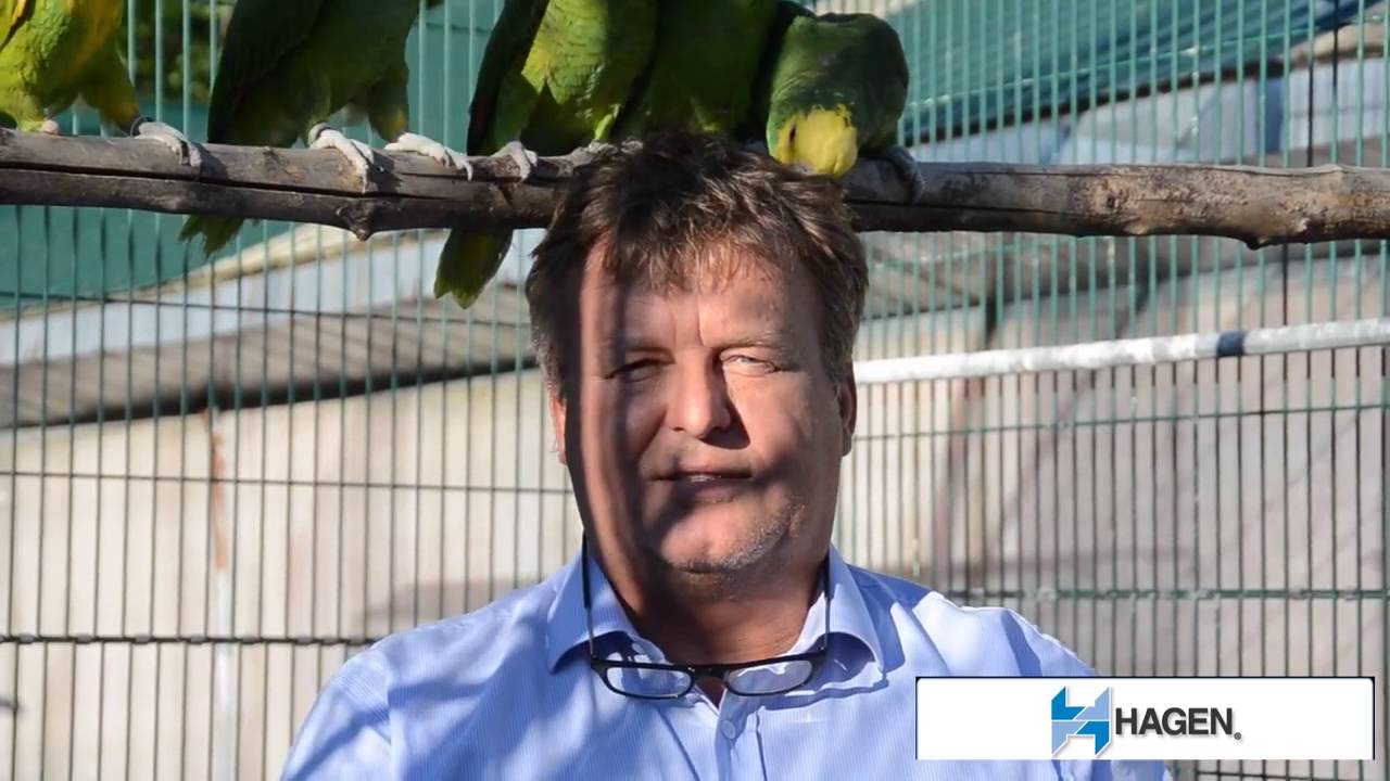 American Federation of Aviculture HARI commercial