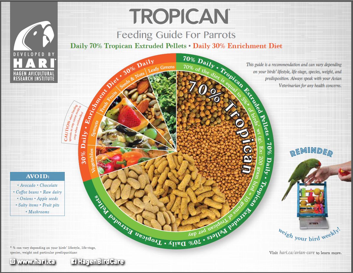 Tropican feeding guide for parrots