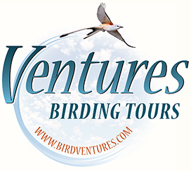 Birding tours