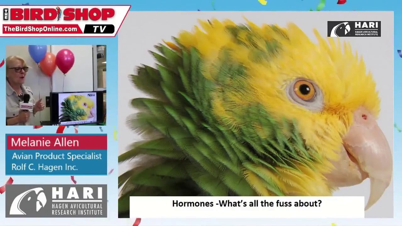 How to deal with that Hormonal Bird
