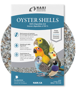 HARI Oyster Shells