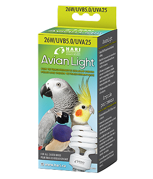 UVA/UVB Avian Light for birds
