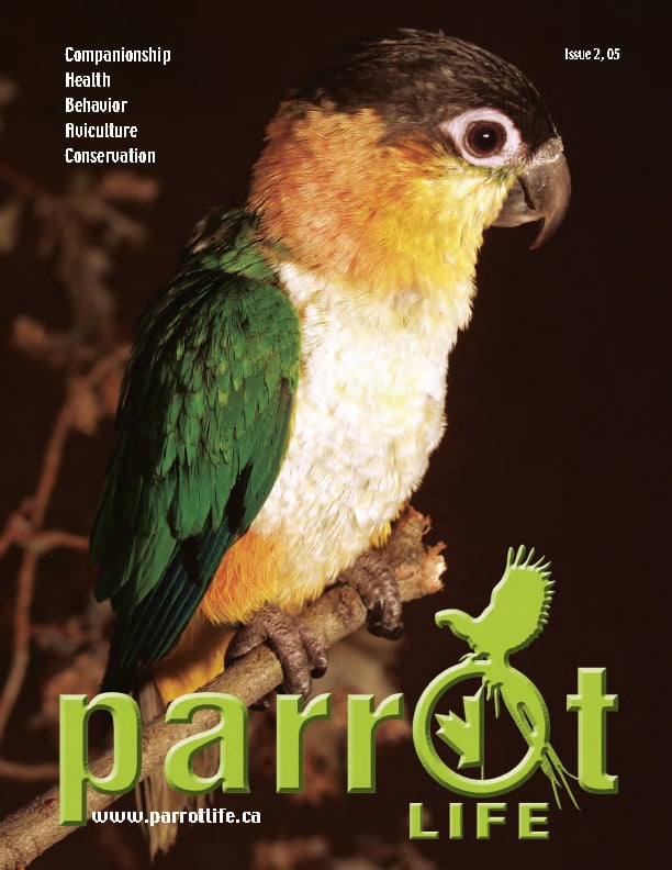 Parrot Life 2 Cover