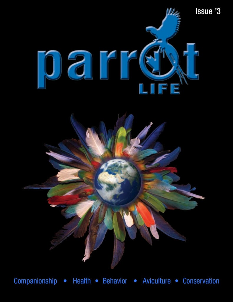 Parrot Life 3 Cover