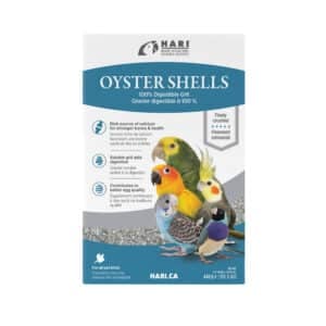 Oyster Shells Supplement for Birds
