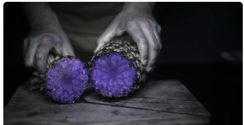 UV Camera Shows 10 Fruits in an Amazing New Way<br>Video Source: YouTube: @MathieuStern